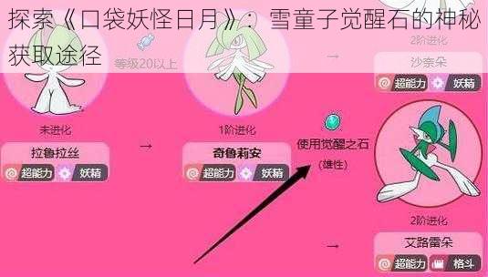 探索《口袋妖怪日月》：雪童子觉醒石的神秘获取途径