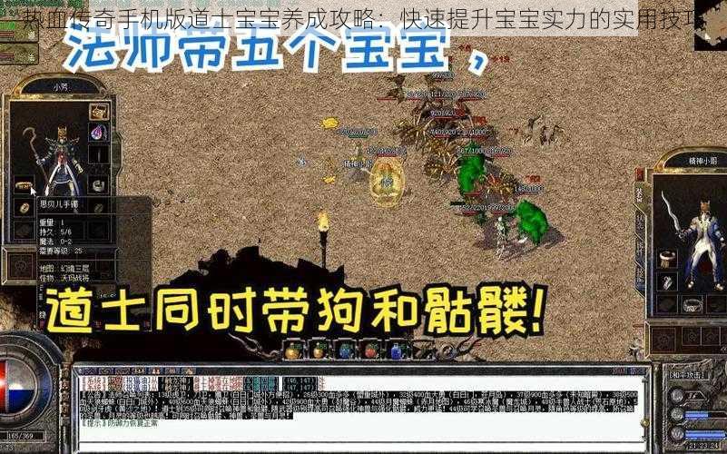 热血传奇手机版道士宝宝养成攻略：快速提升宝宝实力的实用技巧